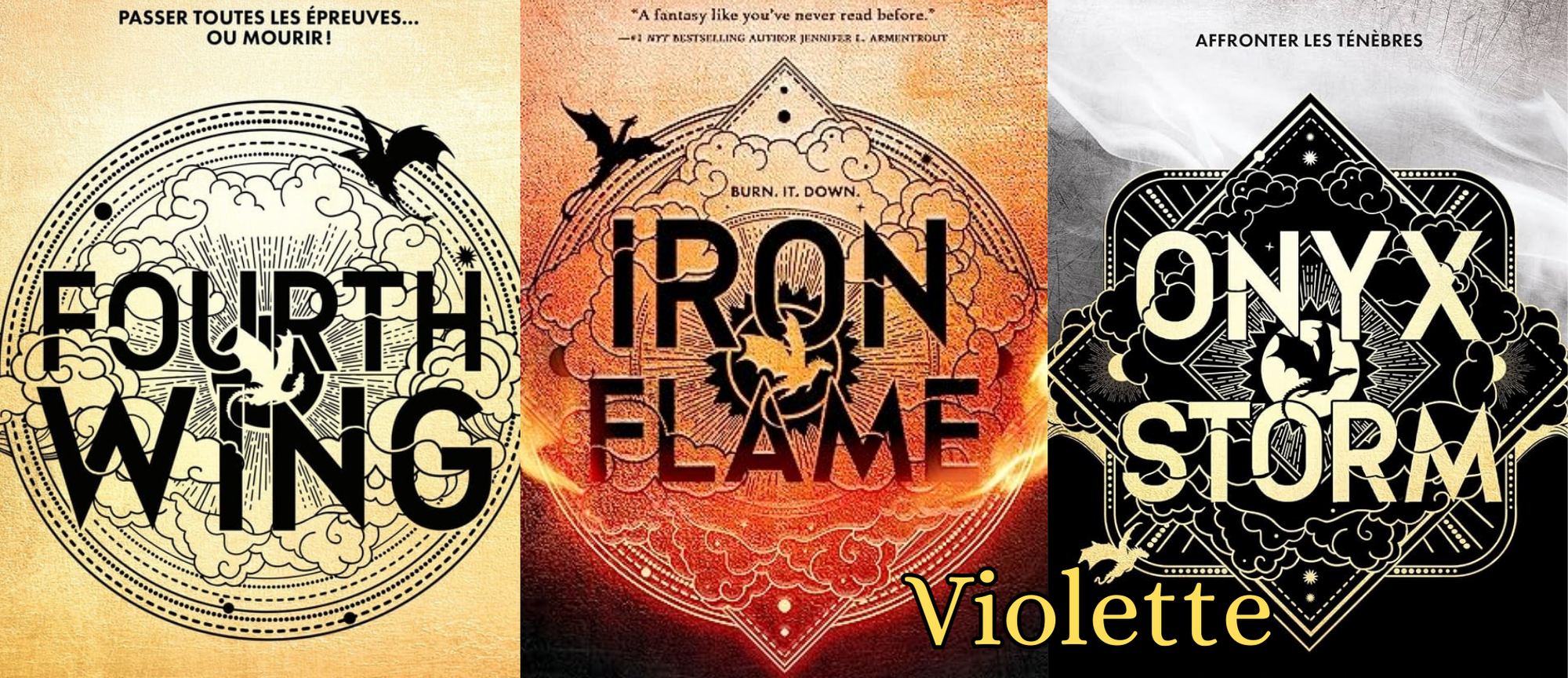 Collection de Mugs Fantasy – Inspirée de la saga Empyrean :Fourth Wing, Iron Flame & Onyx Storm